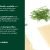 Explanation of how grass cardboard contains over 30% of dry grass and remaining FSC pulp